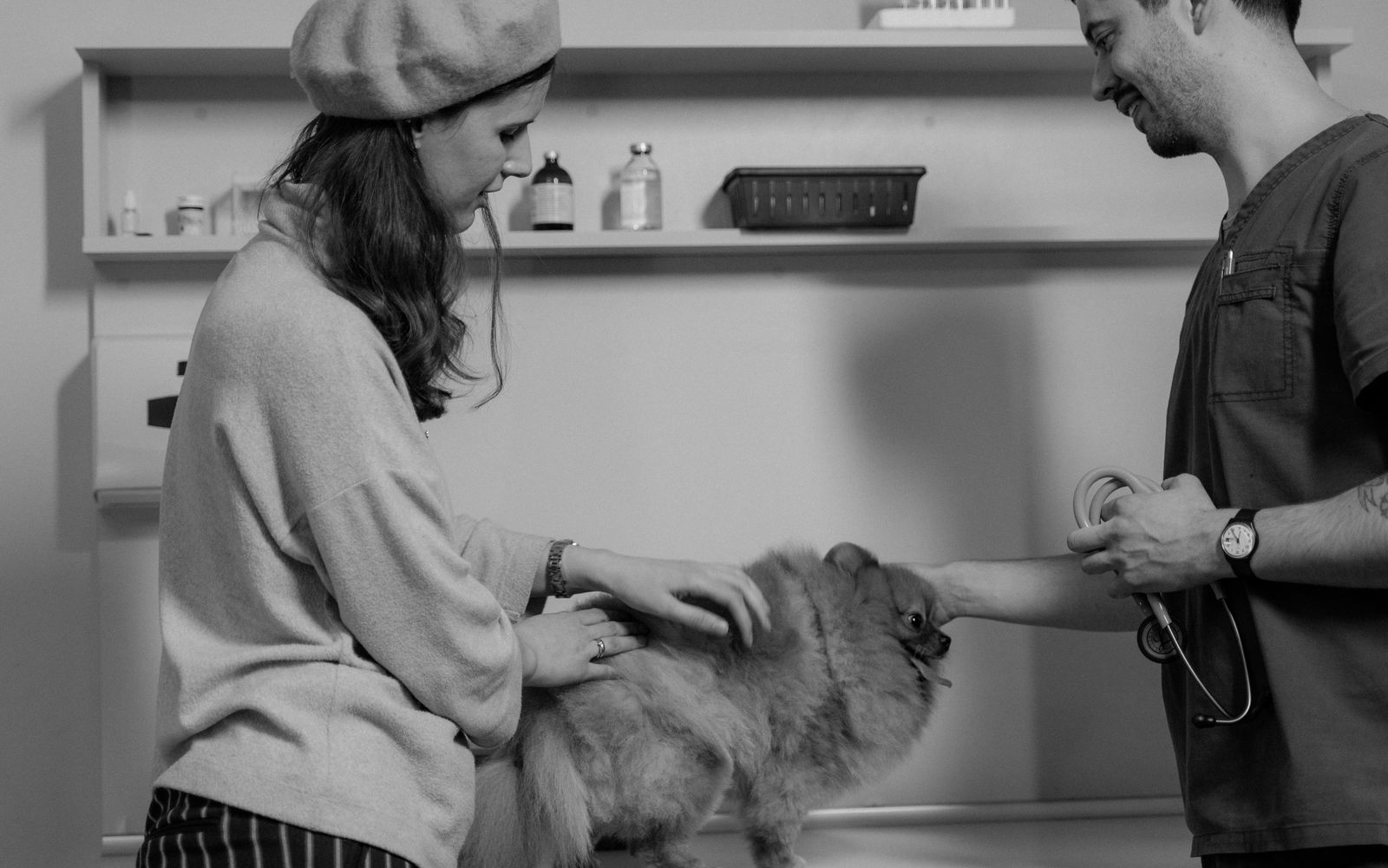 How Often Does Your Dog Really Need a Dental Cleaning?